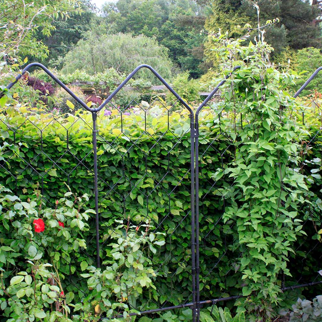 Alpine Screen