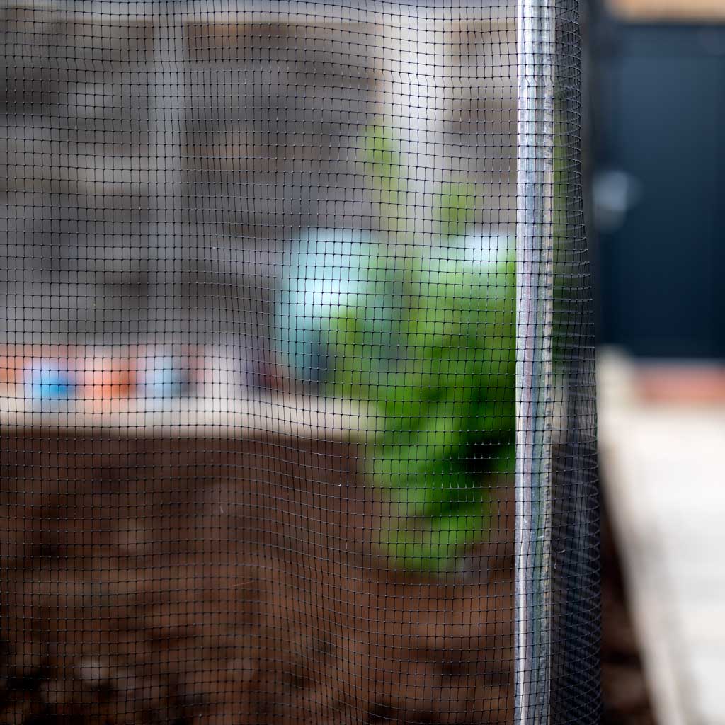 Aluminium Low Fruit Cage - Image 5
