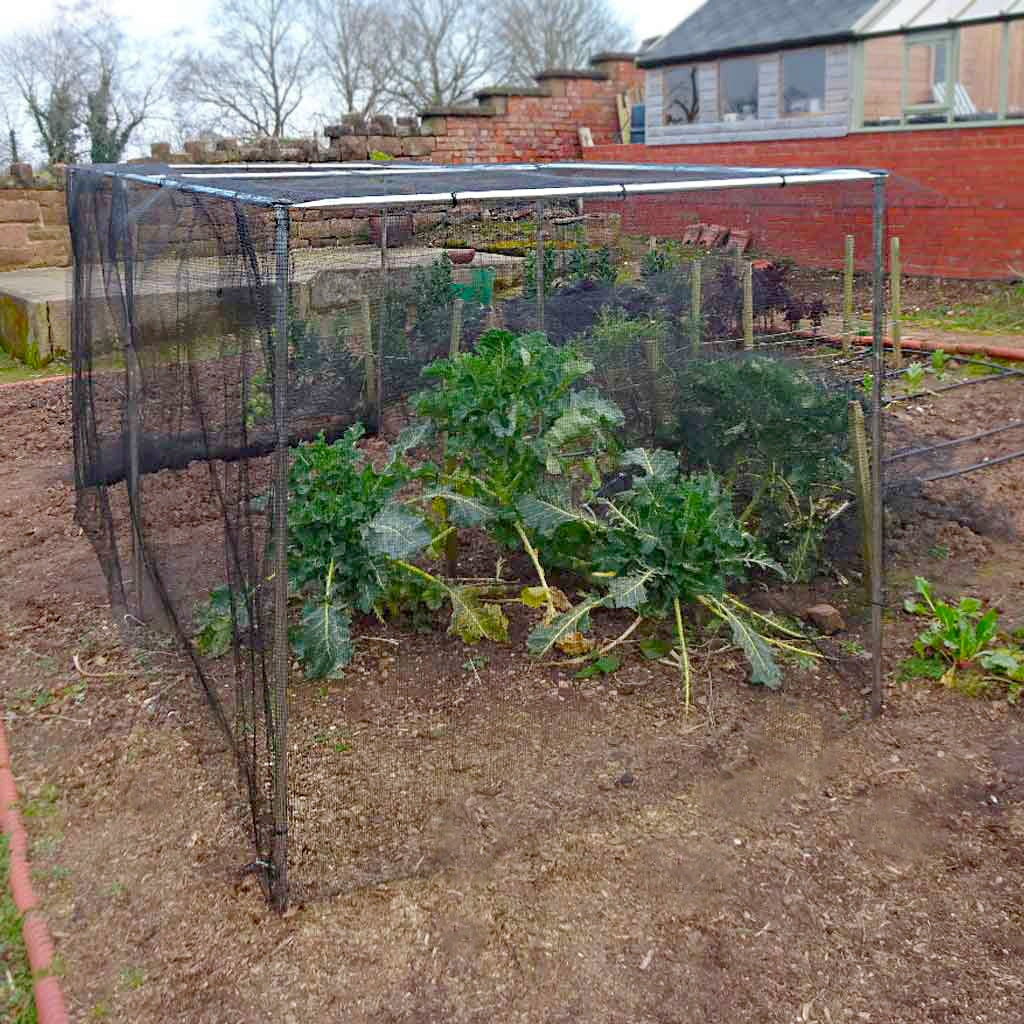 Kitchen Garden