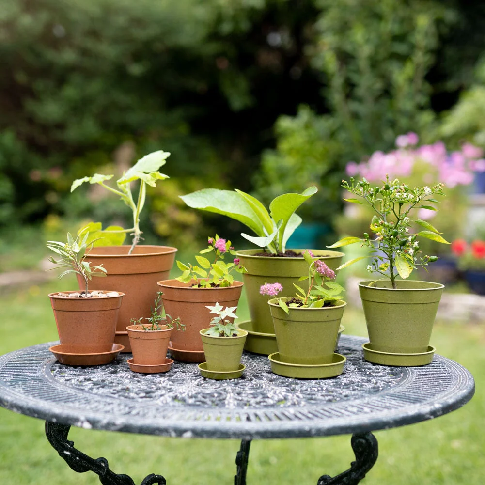 Bamboo Pots and Saucers - Image 3