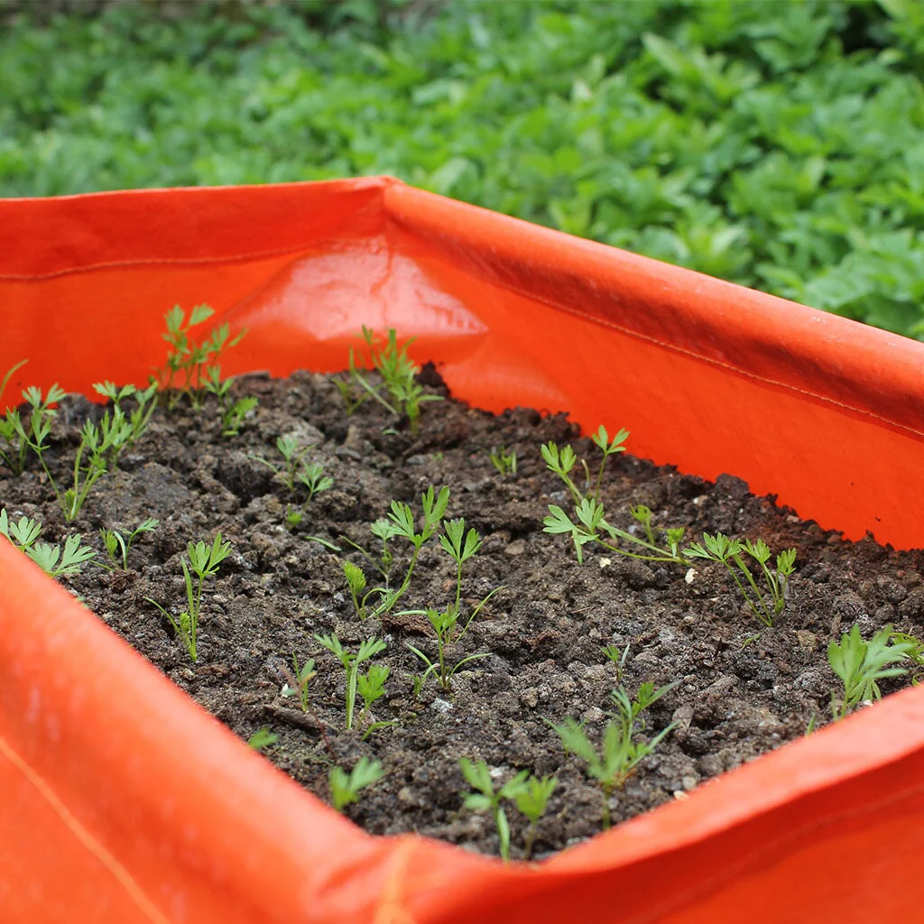 Carrot Patio Planter (Pack of 2) - Image 2