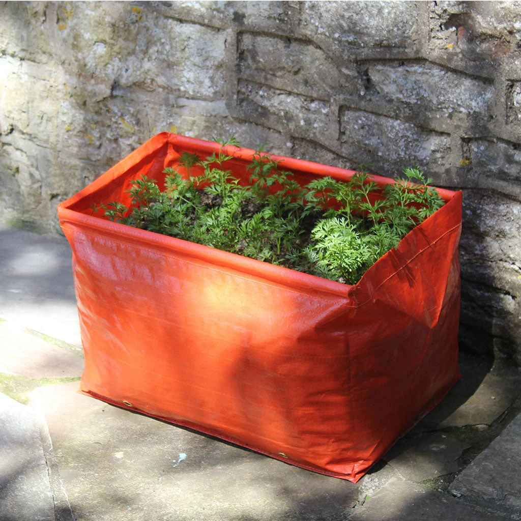 Carrot Patio Planter (Pack of 2) - Image 3