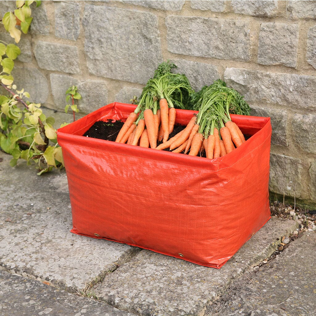 Carrot Patio Planter (Pack of 2) - Image 4