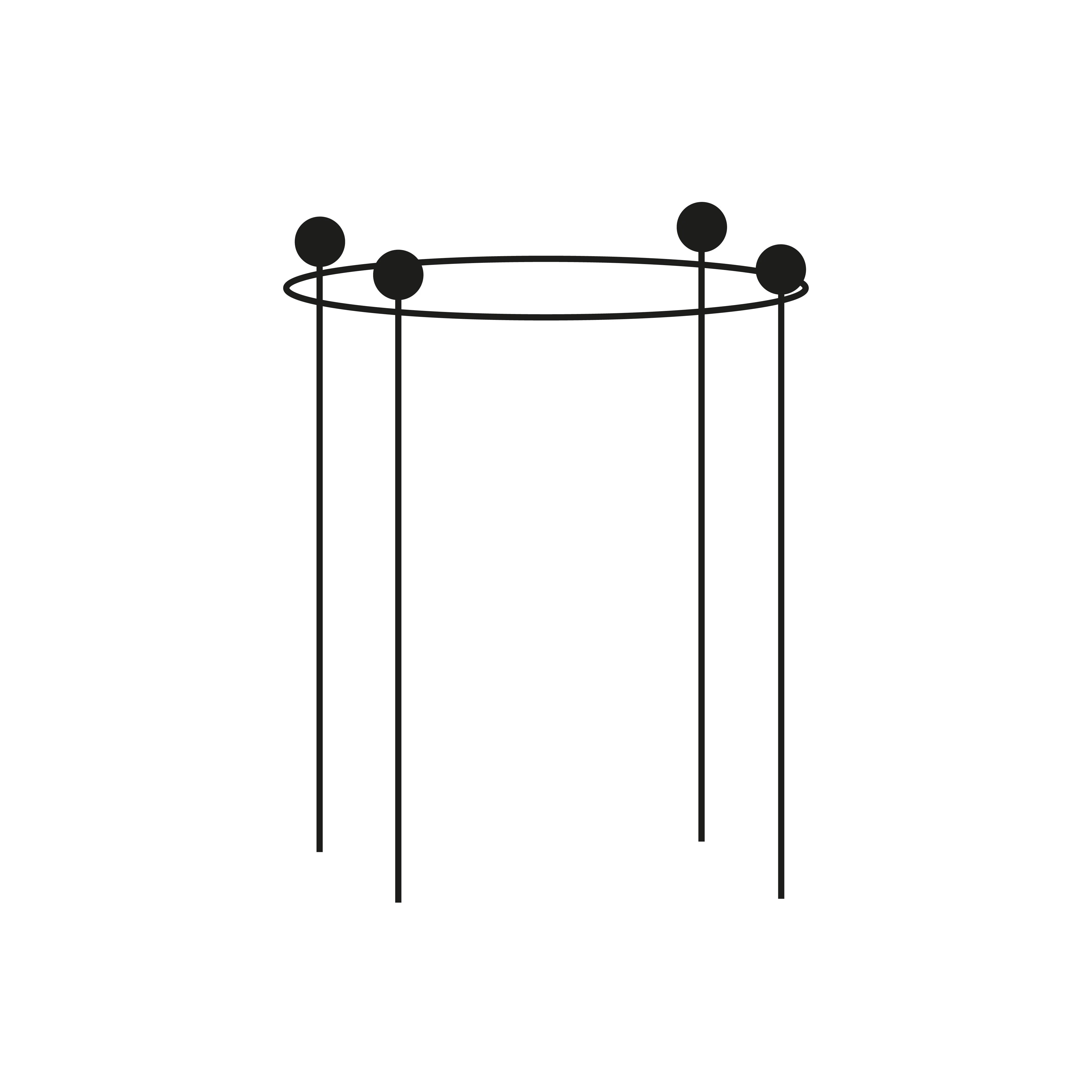 Circular Plant Support - Rustic - Image 6