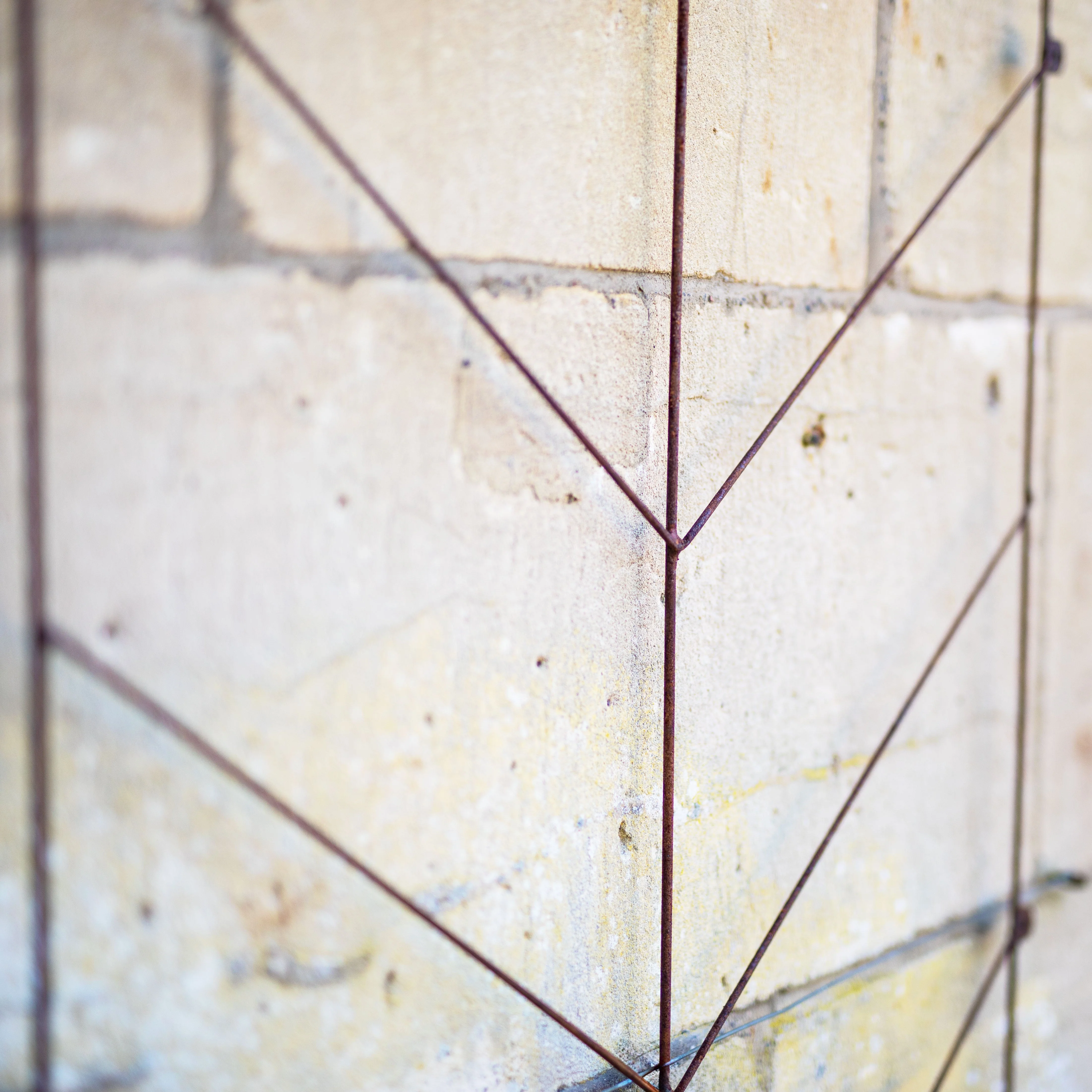 Deco Wall Trellis - Image 3