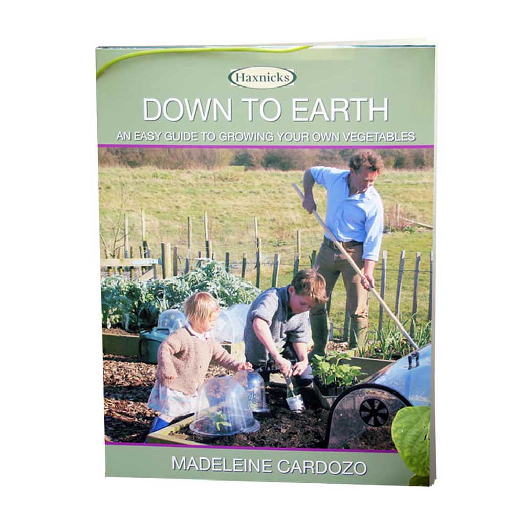 Down To Earth - Image 3