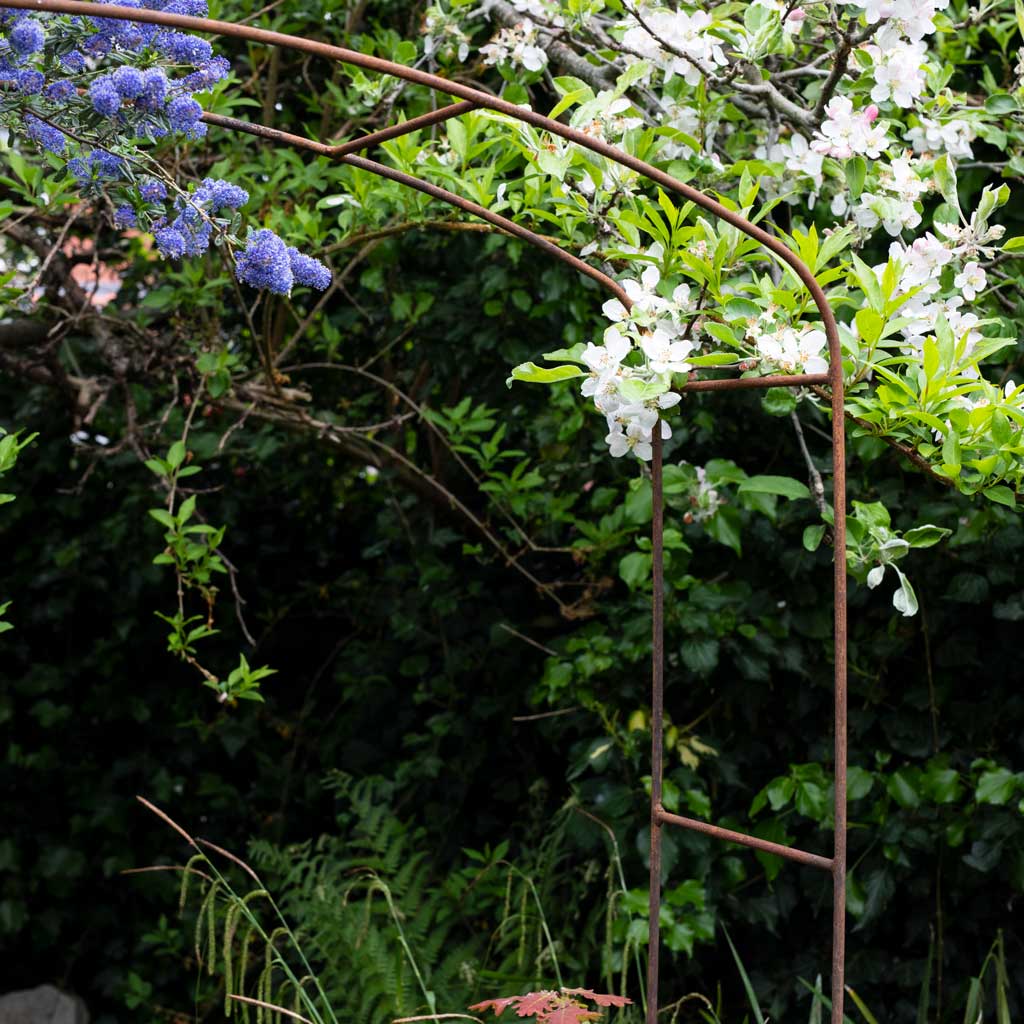 Elegance Fine Arch - Image 6
