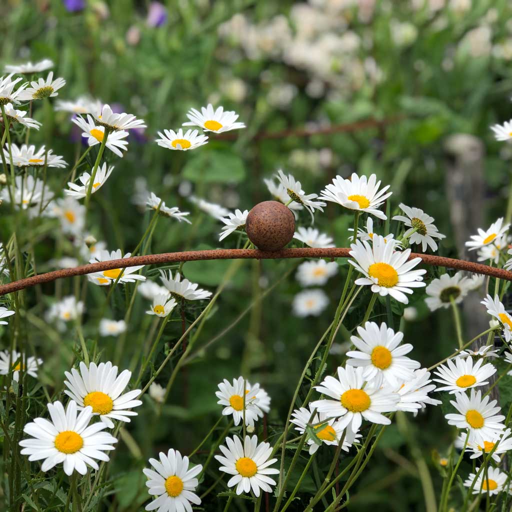 Elegance Hooped Cloche - Image 7