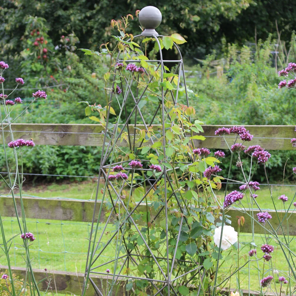 Elegance King Obelisk - Image 6
