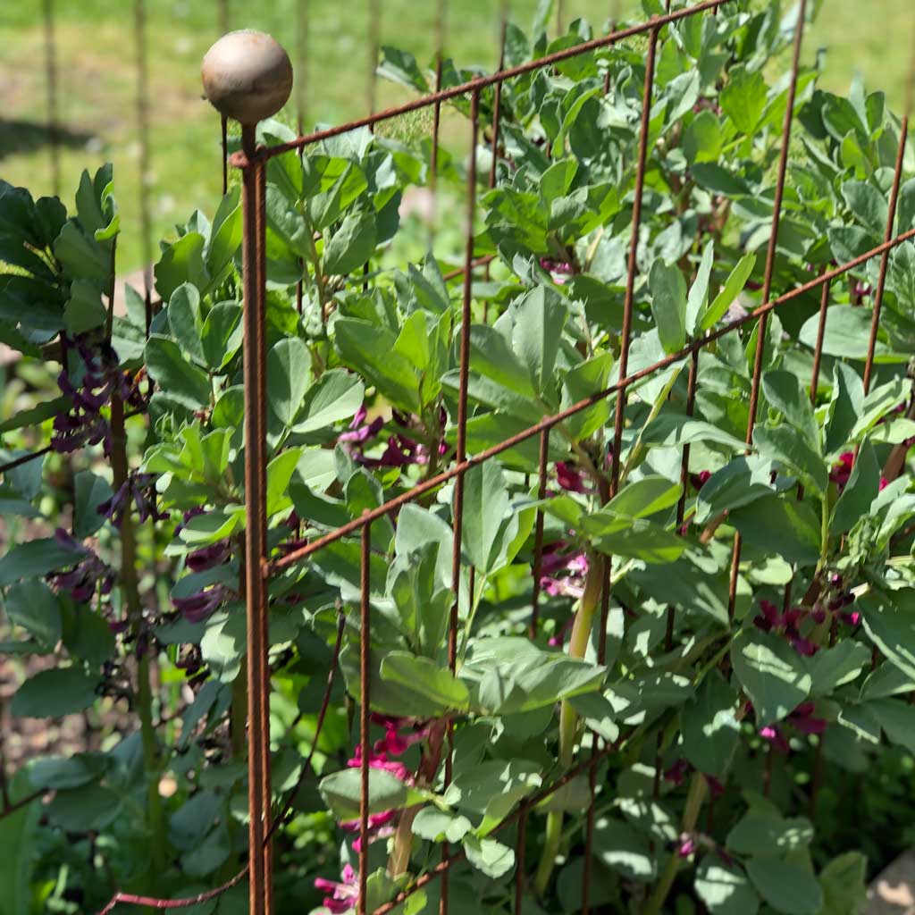 Elegance Panel Plant Support - Image 3