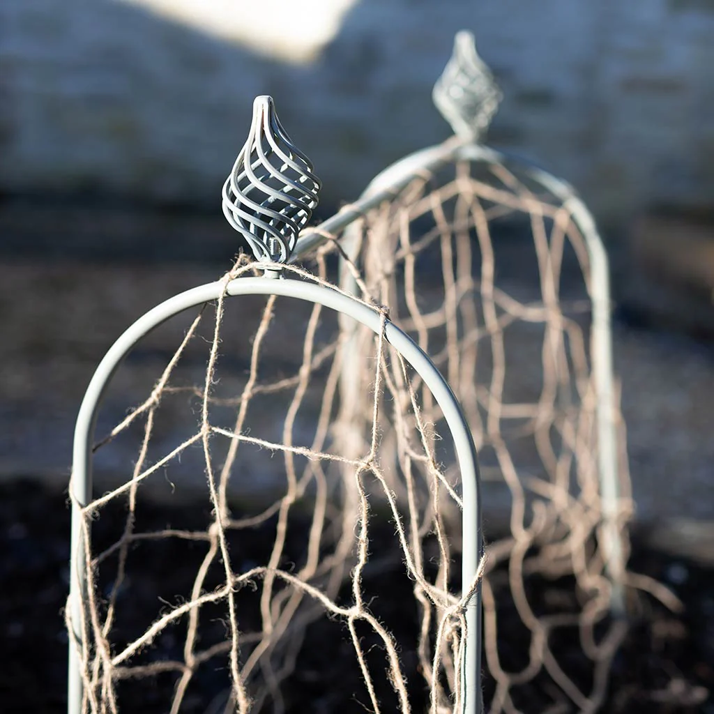 Elegance Pea & Bean Hoops - Image 4