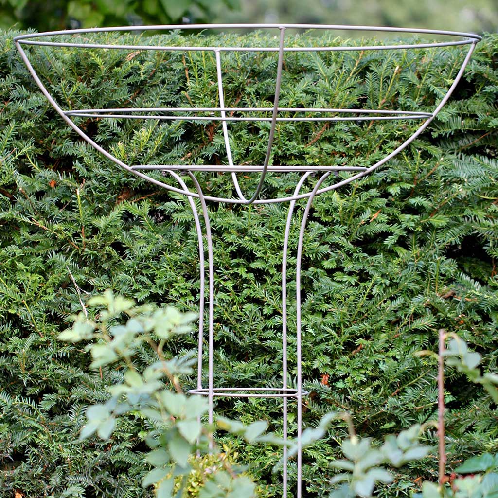 Elegance Rose Umbrella - Image 5
