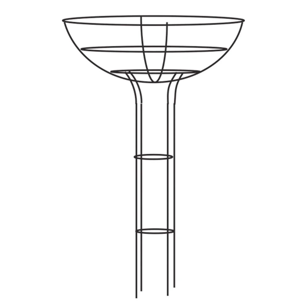 Elegance Rose Umbrella - Image 6