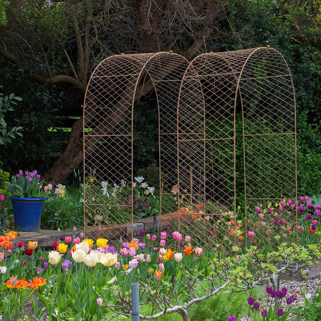 Elegance Round Arch - Image 3