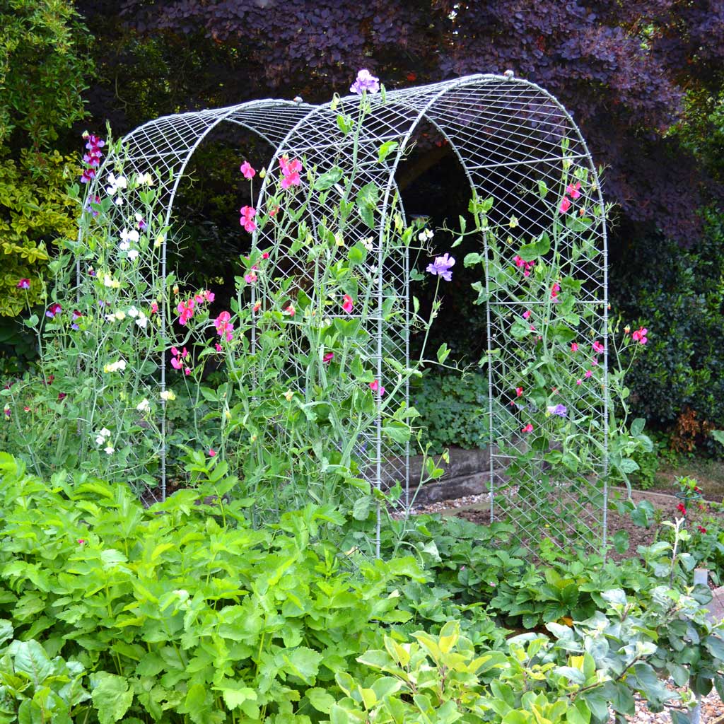 Elegance Round Arch - Image 4