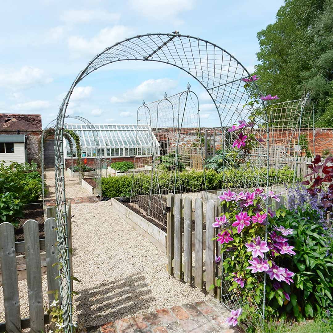 Elegance Round Arch - Image 5