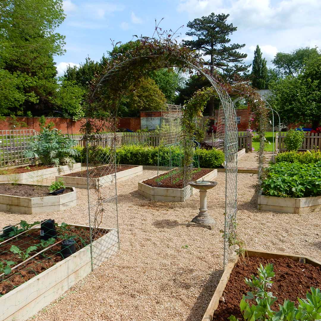 Elegance Round Arch - Image 6