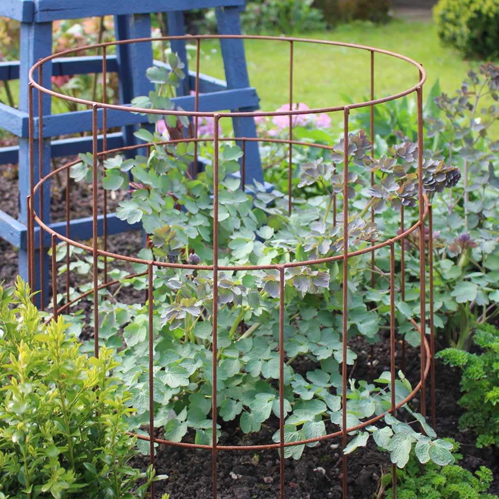 Elegance Round Plant Support - Image 3