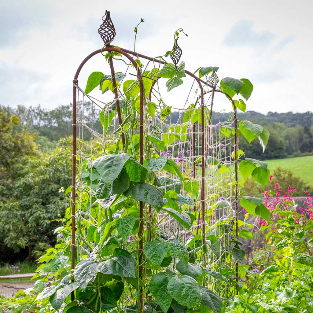 Elegance Runner Bean Frame - Image 5