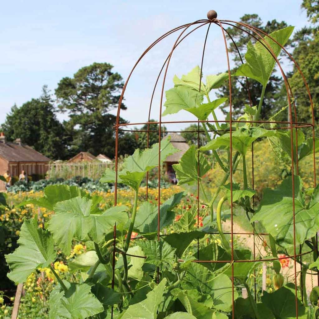 Elegance Runner Bean Tower