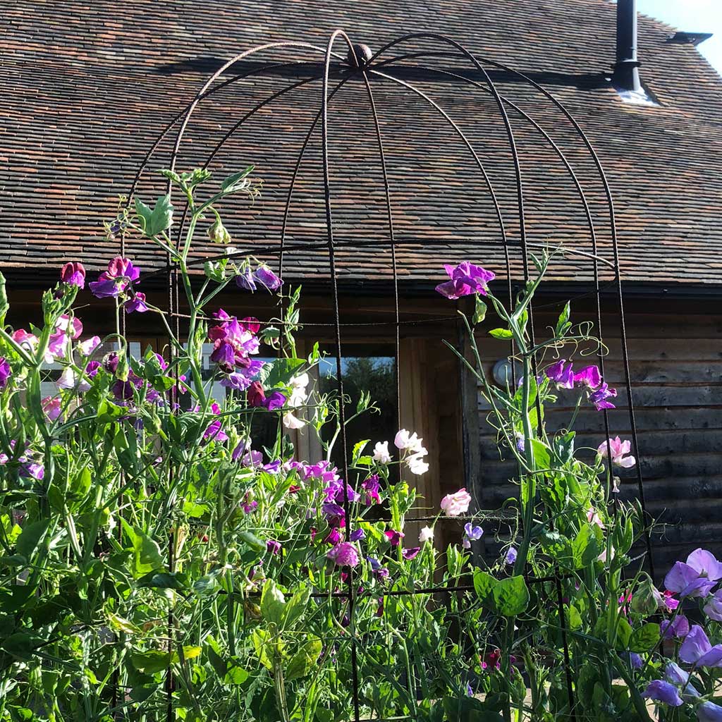 Elegance Runner Bean Tower - Image 3