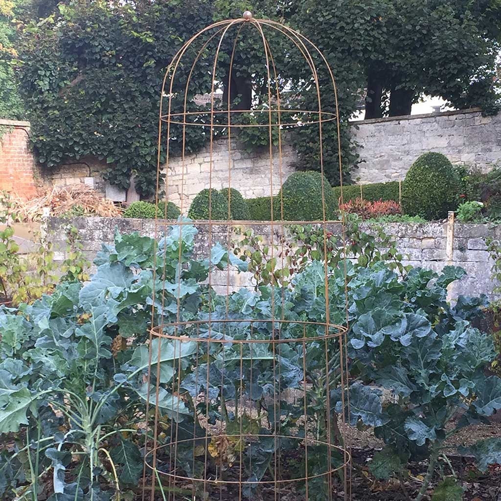 Elegance Runner Bean Tower - Image 5