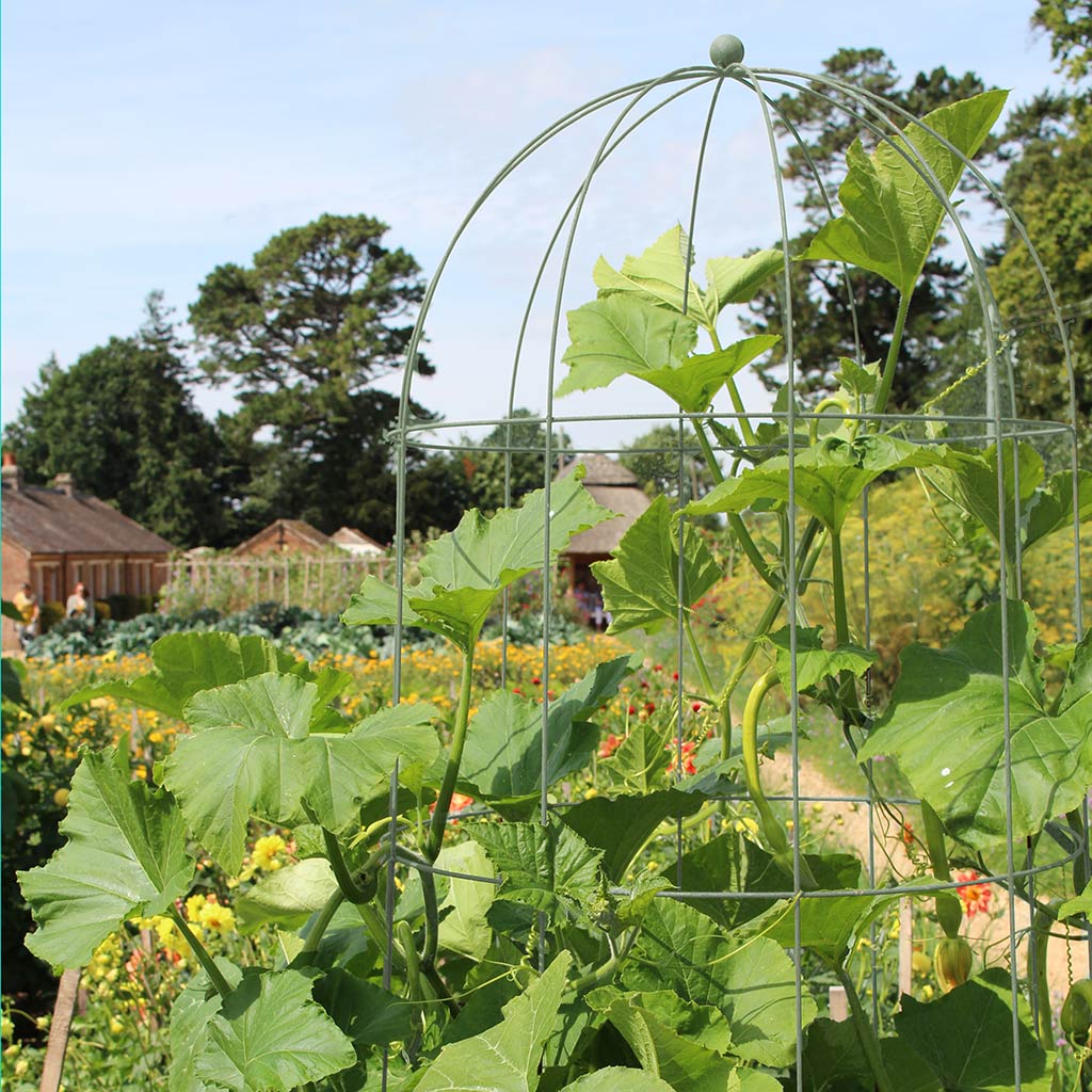 Elegance Runner Bean Tower - Image 7