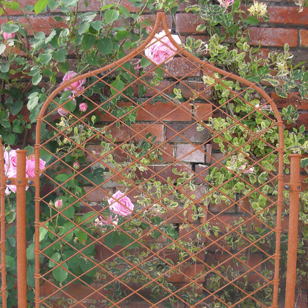 Elegance Gothic Screens - Image 5