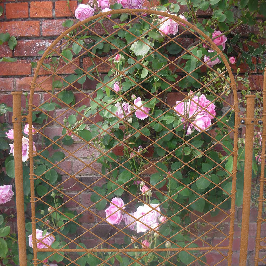 Elegance Round Screens - Image 4