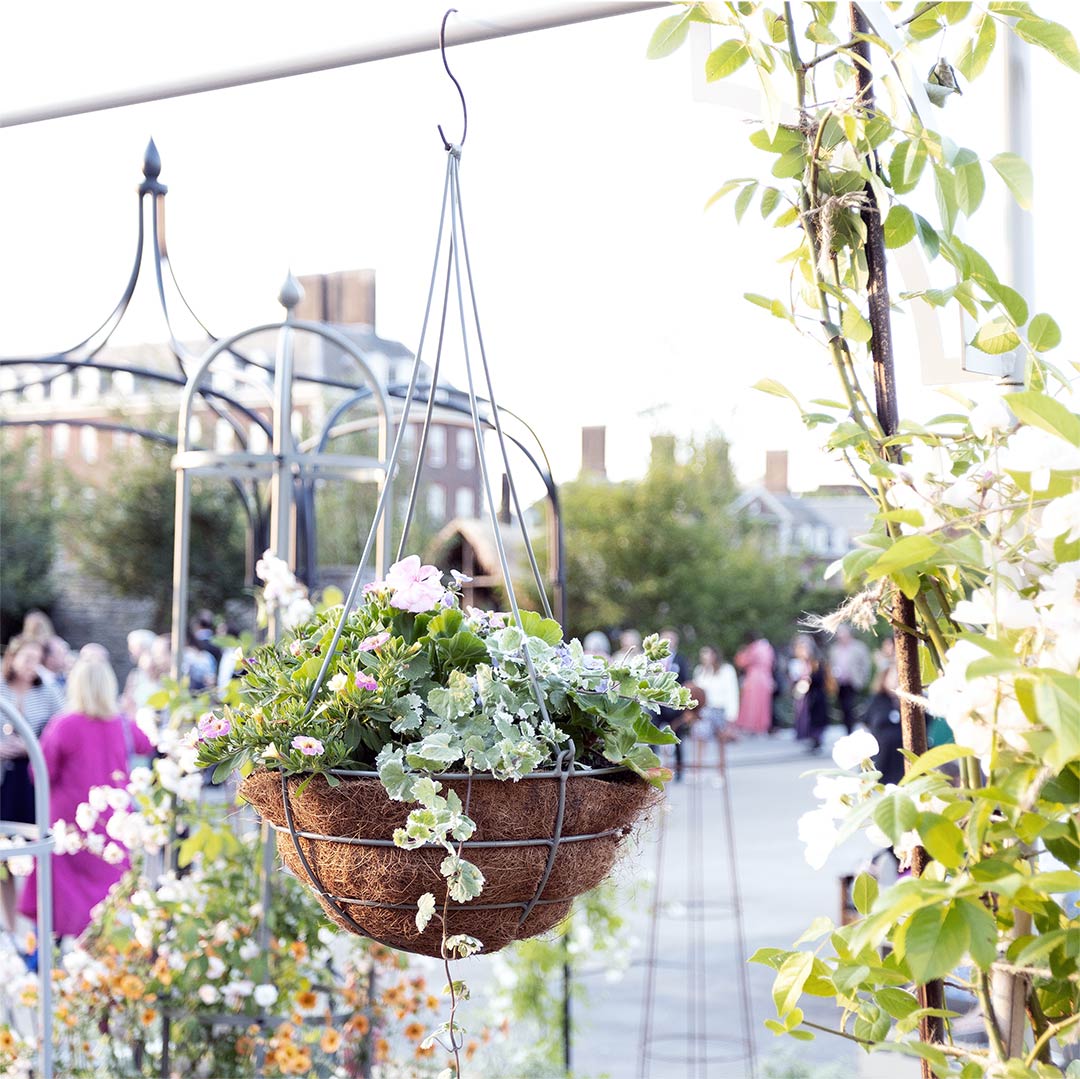 Elegance Hanging Basket - Small 30cm - Image 4