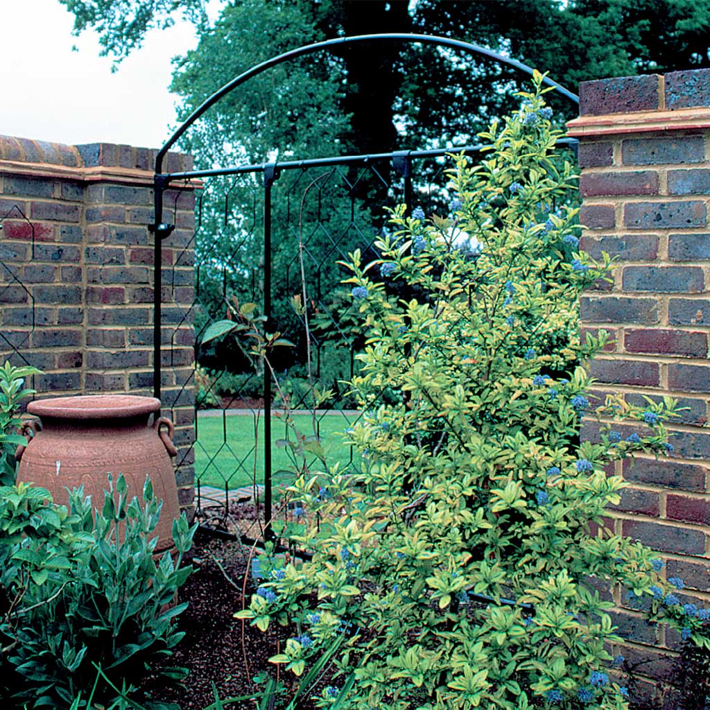Fencing Screen - Monet