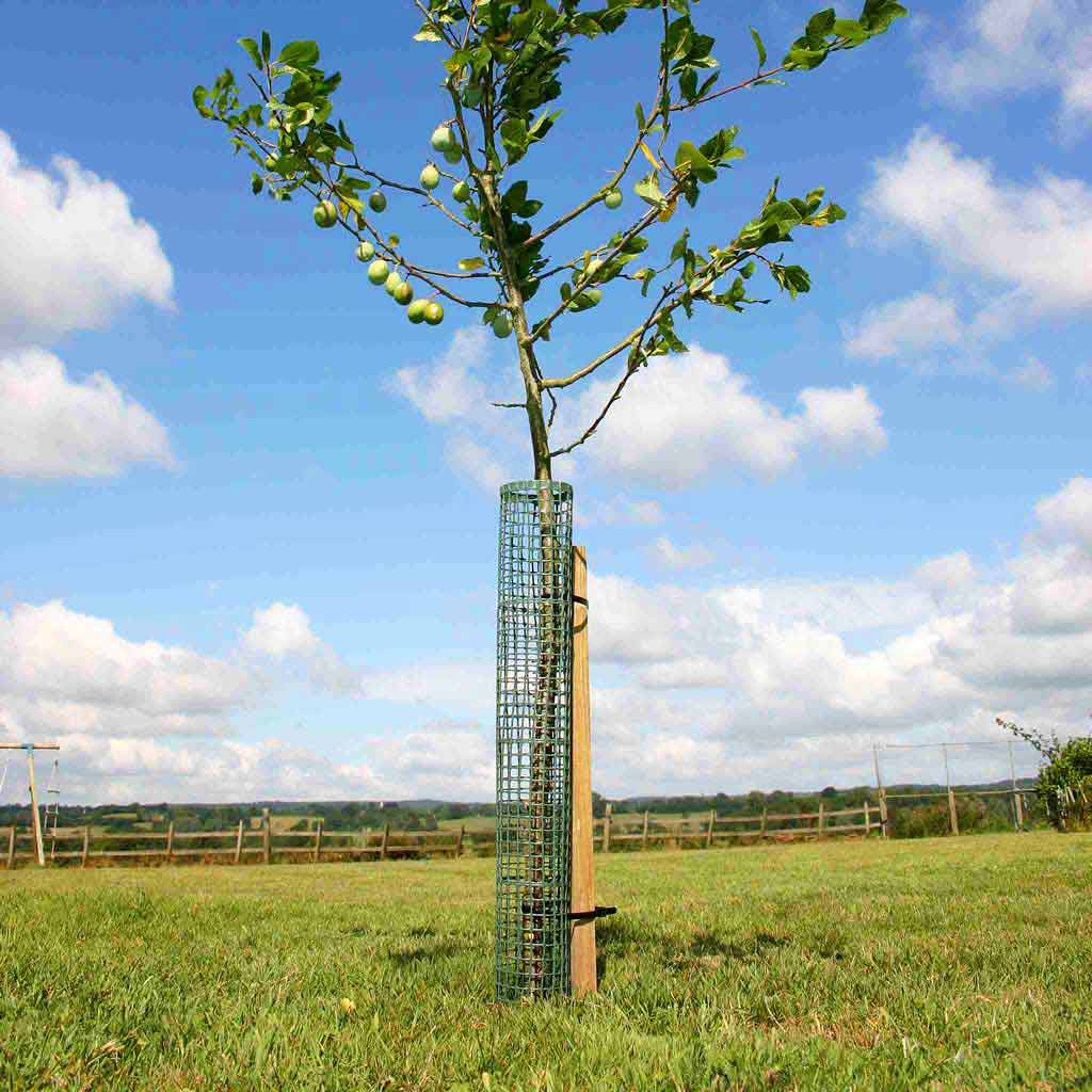 Flexi Mesh Treeguard