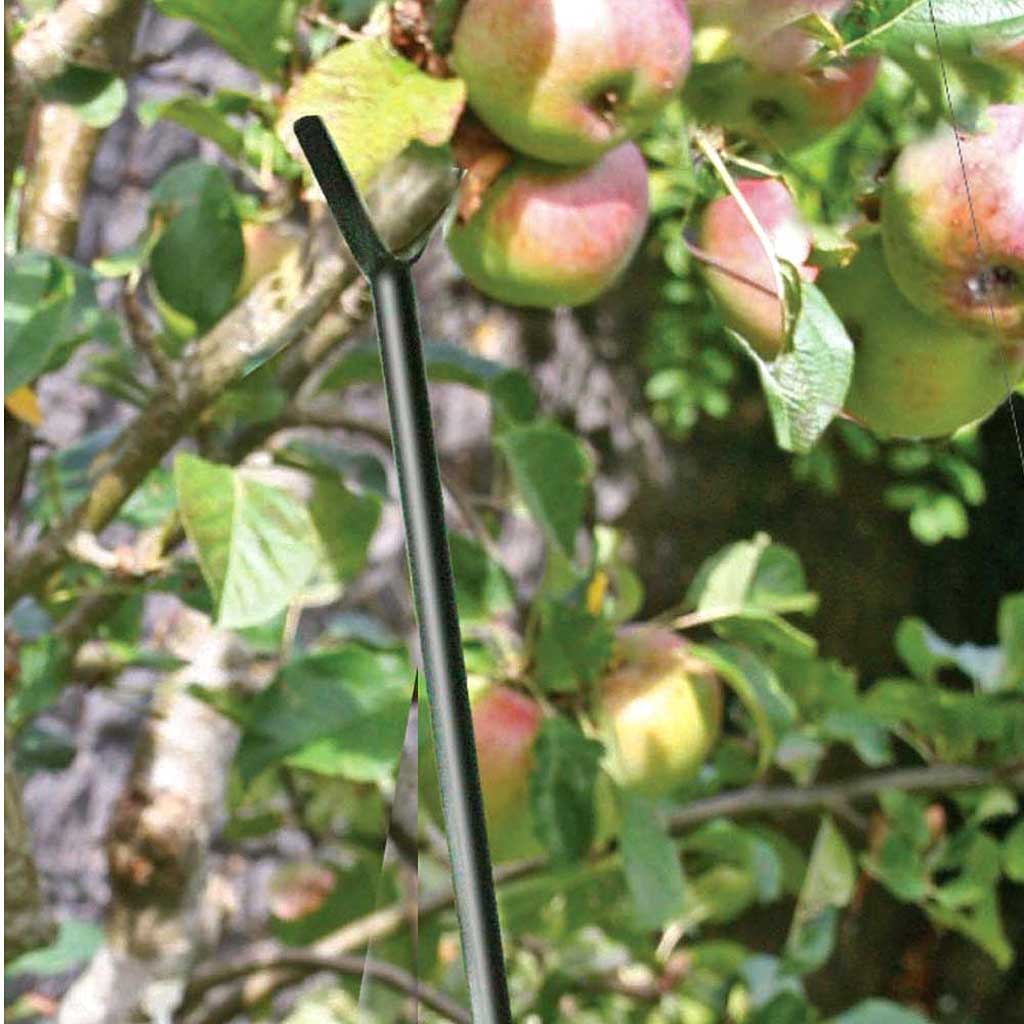 Fruit Branch Support - Image 2