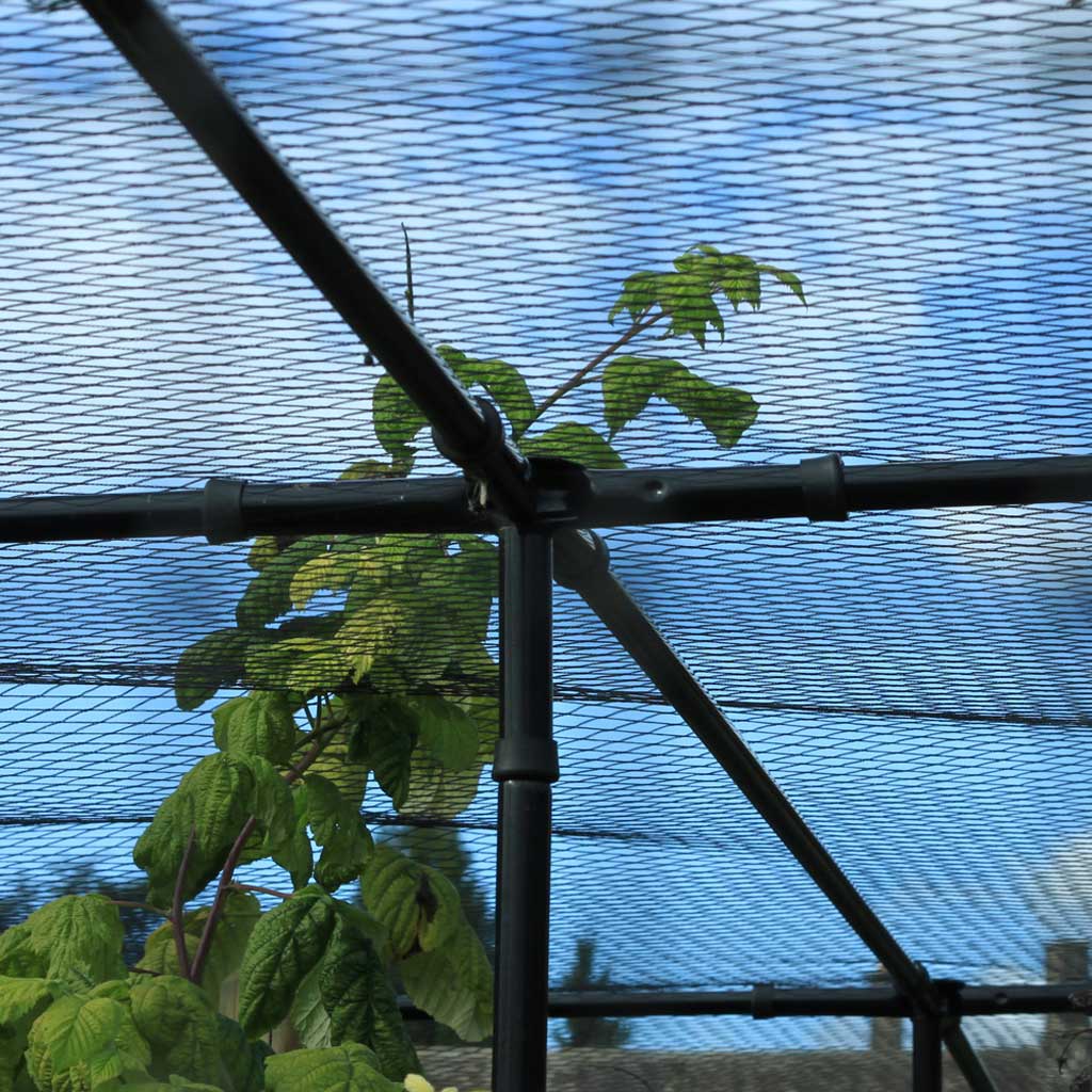 Fruit Cage Joints - Image 3