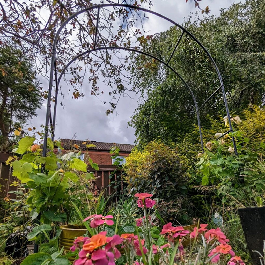 Fruit Tree Arch - Image 4