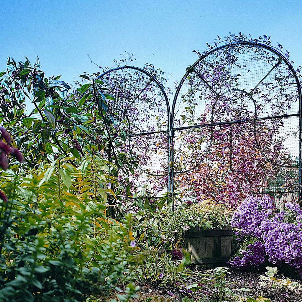 Georgian Round Top Garden Screen - Image 4