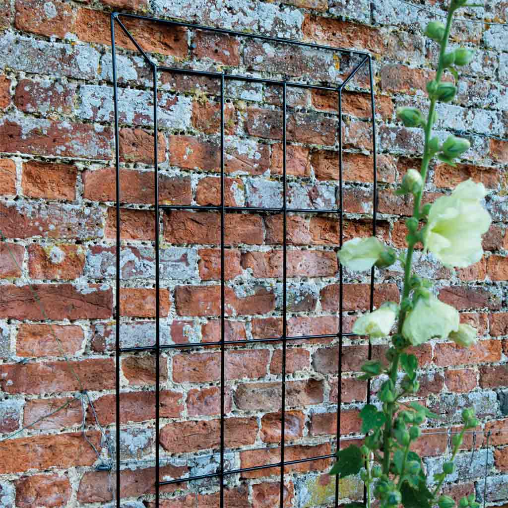 Georgian Window Trellis - Image 3