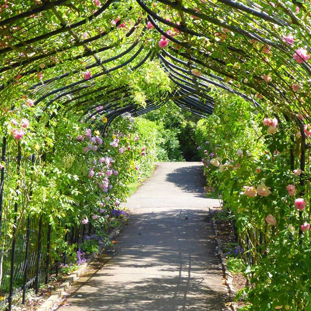 Gothic Pergola With Lattice - Image 3