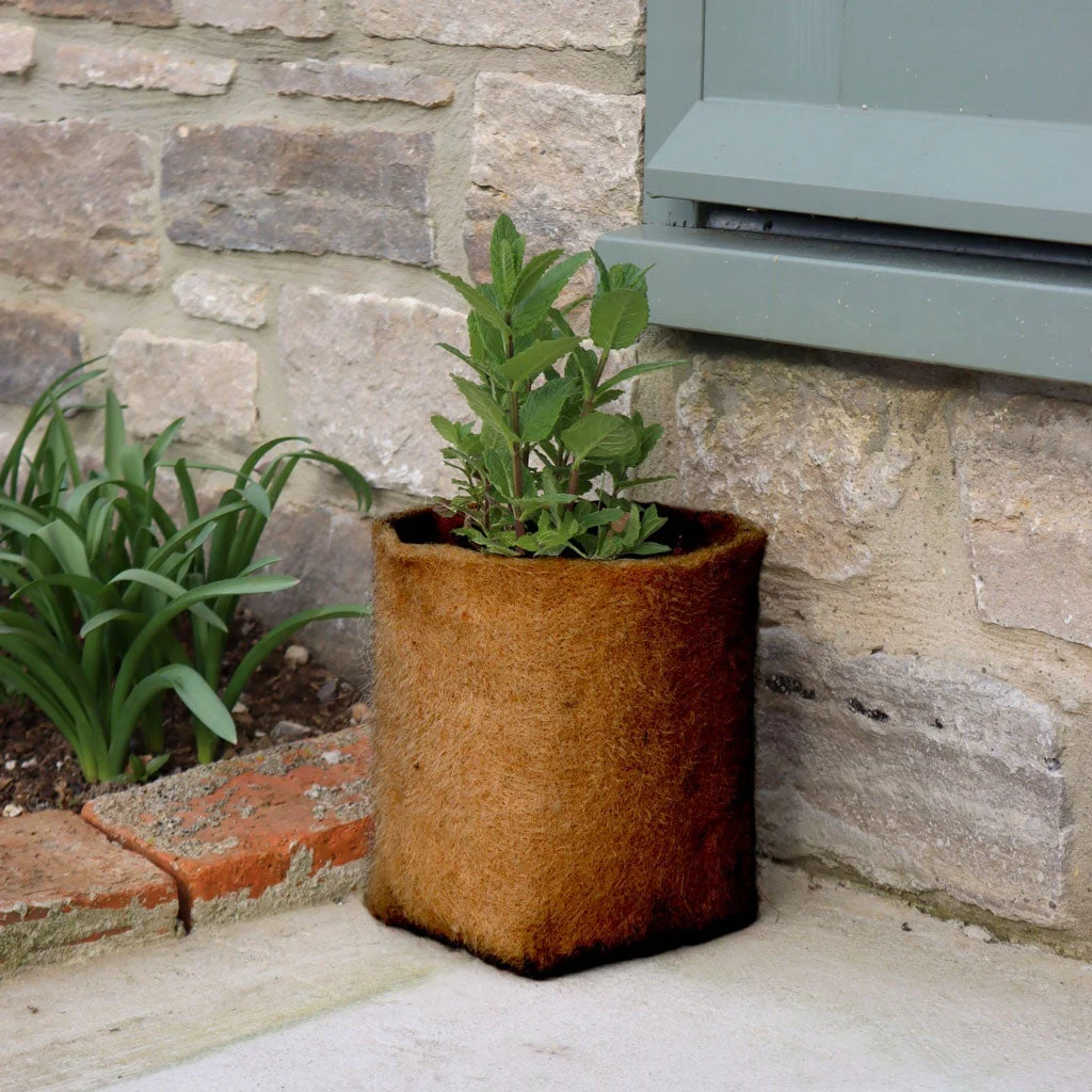 Hemp Pots - Image 2