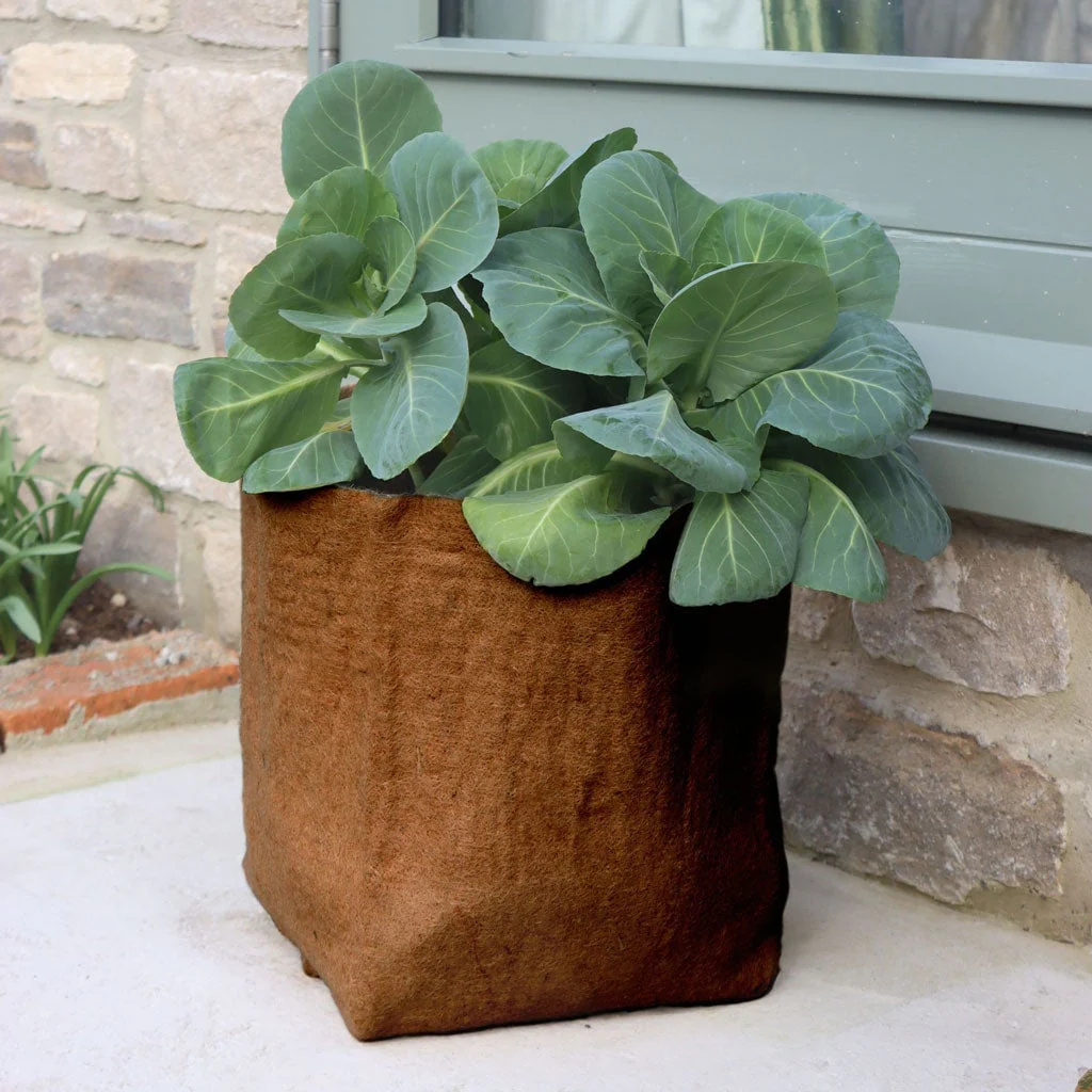 Hemp Pots - Image 3