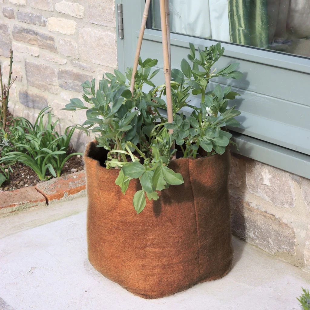 Hemp Pots - Image 4