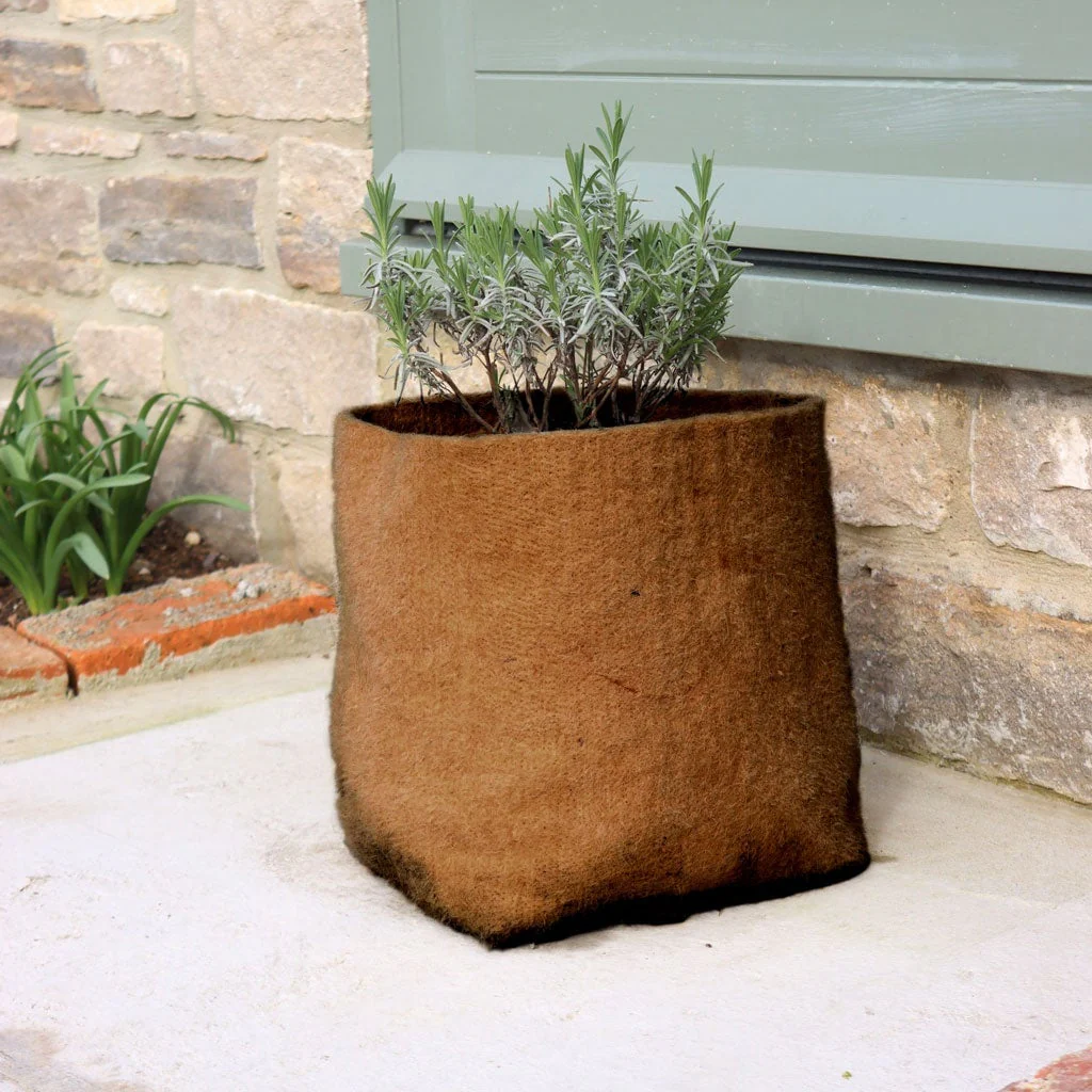 Hemp Pots - Image 5