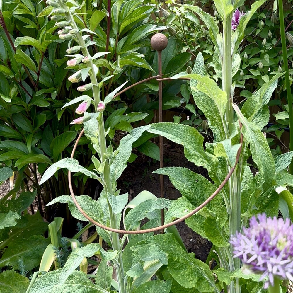 Hooped Plant Support - Image 4