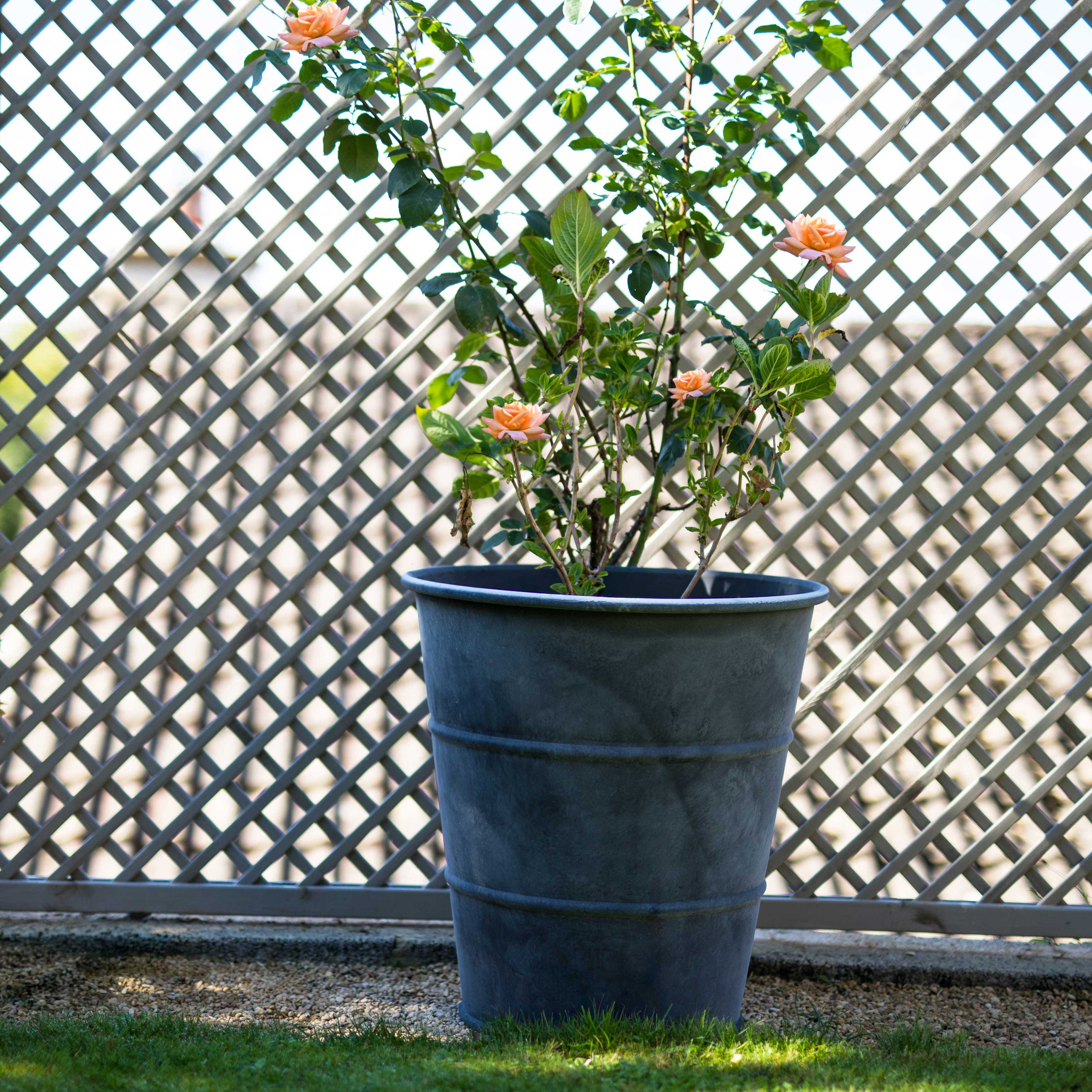 Classic Hooped Zinc Planter - Image 2