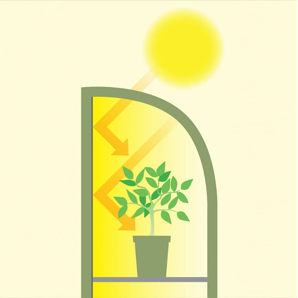 Light-Booster Coldframe - Image 7