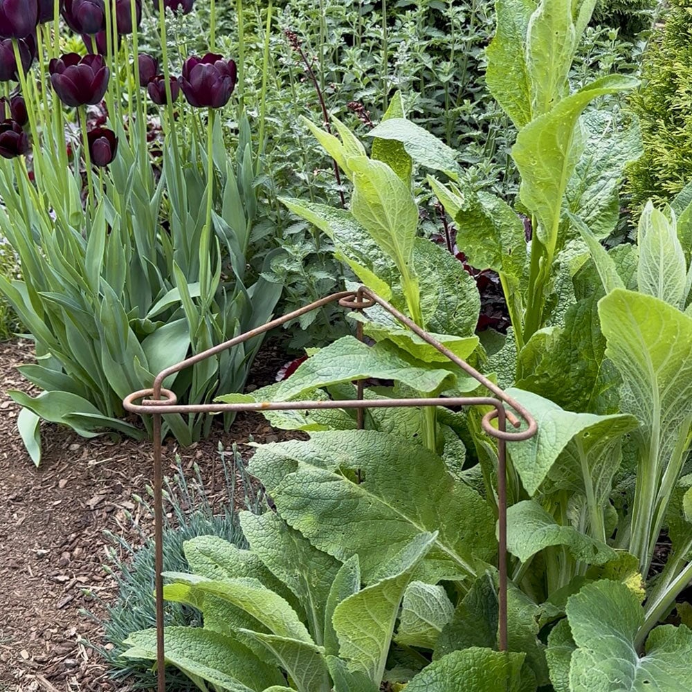 Lock & Link - Image 2