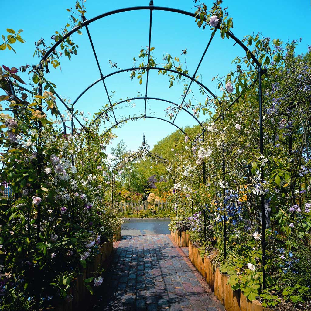 Monet Pergola - Image 3