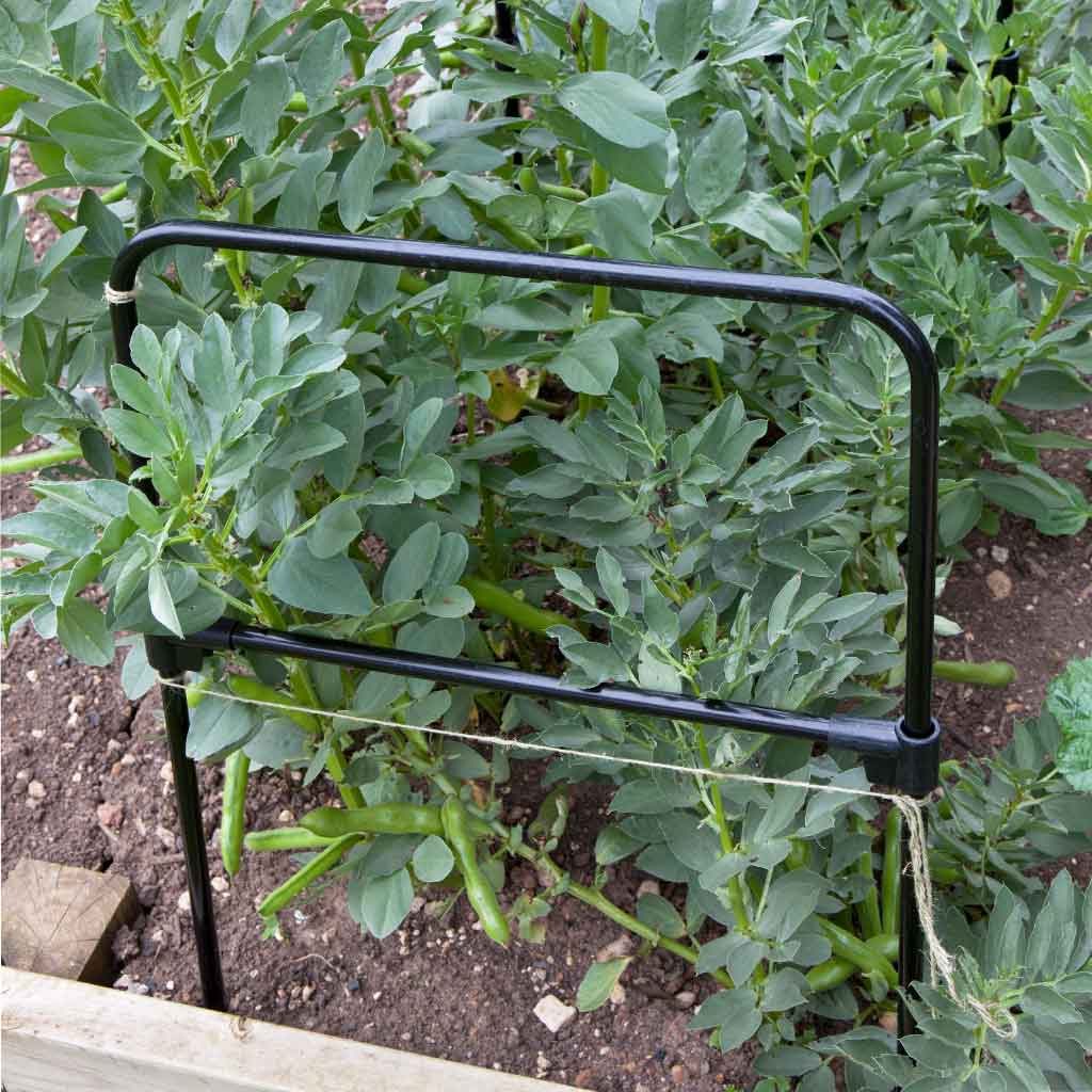 Multi Purpose Grow Through Frame - Image 4