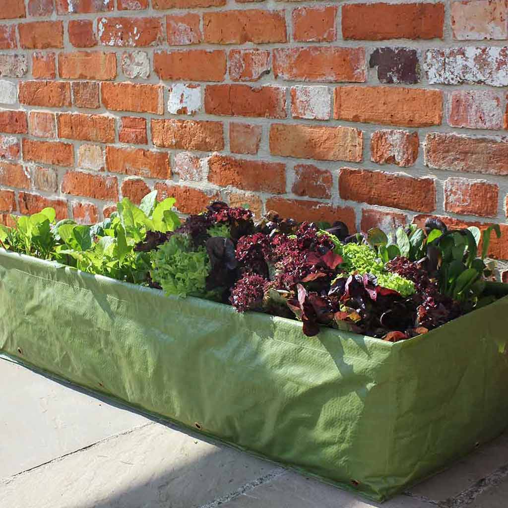 Multipurpose Growbag Planter - Image 3