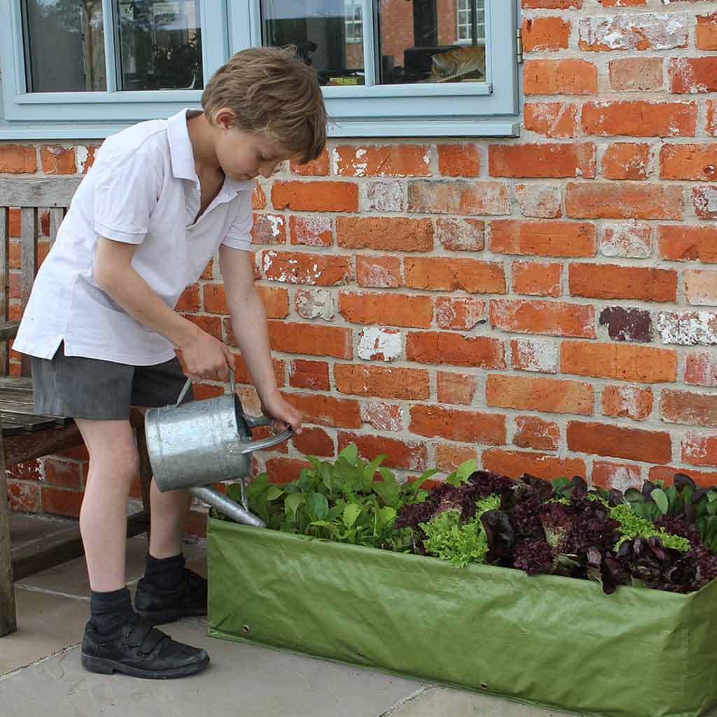Multipurpose Growbag Planter - Image 4